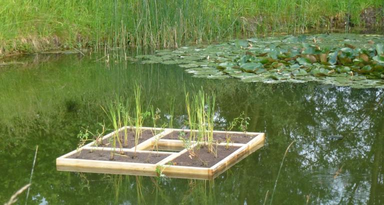 Online Gartenhandbuch fleeds für dein Gartenparadies
